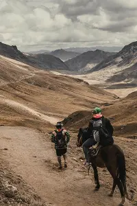 Horse and hiker on trail
