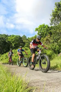 A line of mountain bikers