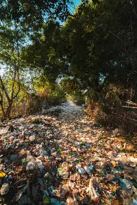 trail filled with trash