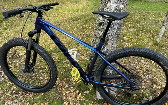 Trek Roscoe 6